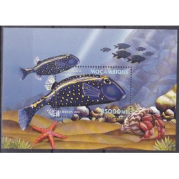 2001 - Fauna Marinha