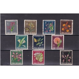 1950 - Flores Tropicais