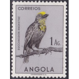 1951 - Aves de Angola