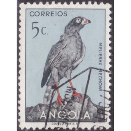 1951 - Aves de Angola