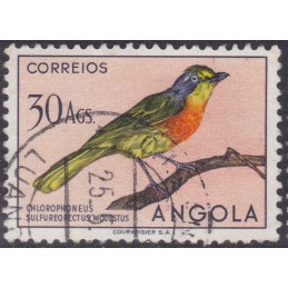 1951 - Aves de Angola