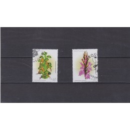 2003 - Orquídeas