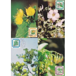 1983 - Flores dos Açores