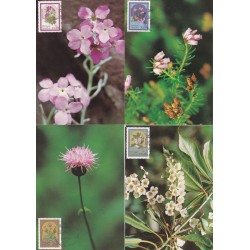 1983 - Flores da Madeira III