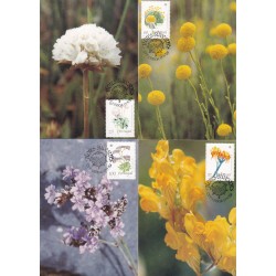 1989 - Flores Silvestres