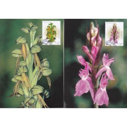 2003 - Orquídeas