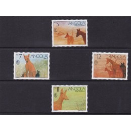 1991 - Cães de Angola